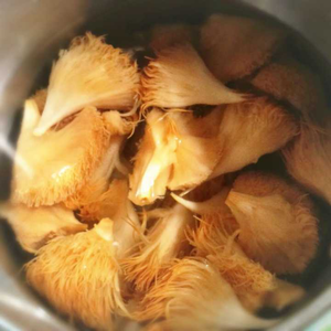 开云电竞app下载安装