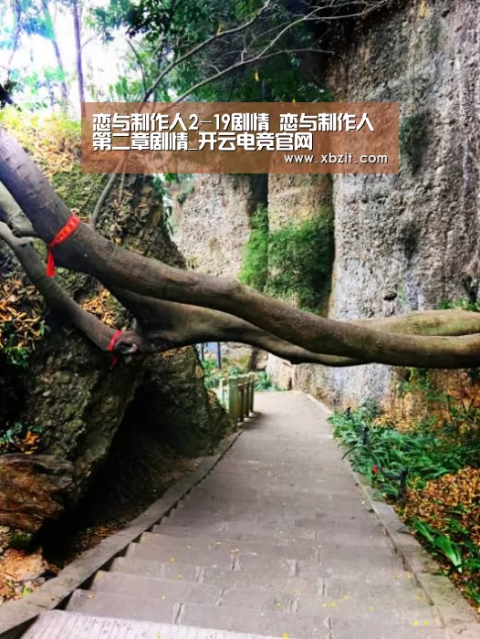开云电竞官网
