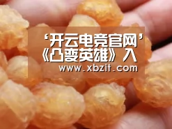 开云电竞官网