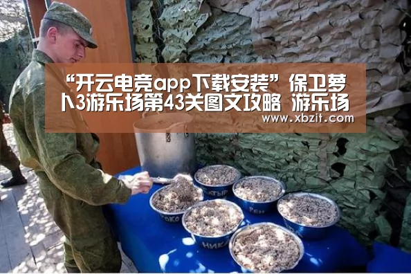 “开云电竞app下载安装”保卫萝卜3游乐场第43关图文攻略 游乐场第43关金萝卜通关布阵(图1) 开云电竞app下载安装