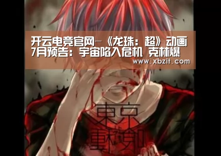 开云电竞