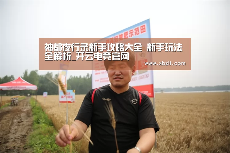 开云电竞官网