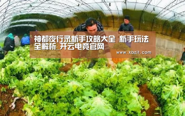 开云电竞app下载安装