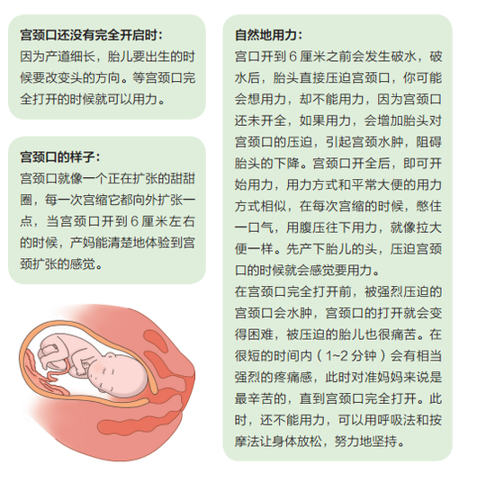 开云电竞