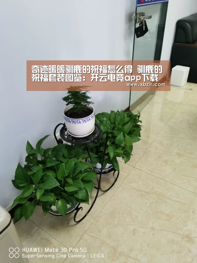 开云电竞app下载安装